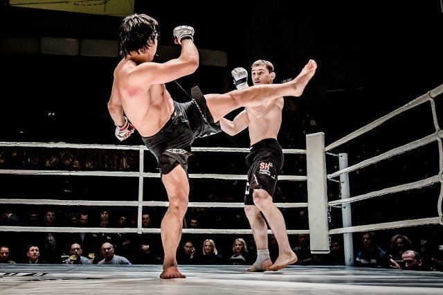 Fight Riot VIII