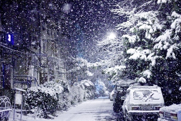 Новогодние каникулы в Сочи будут снежными