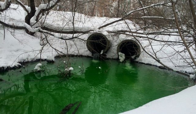 В Челябинске вода действительно позеленела