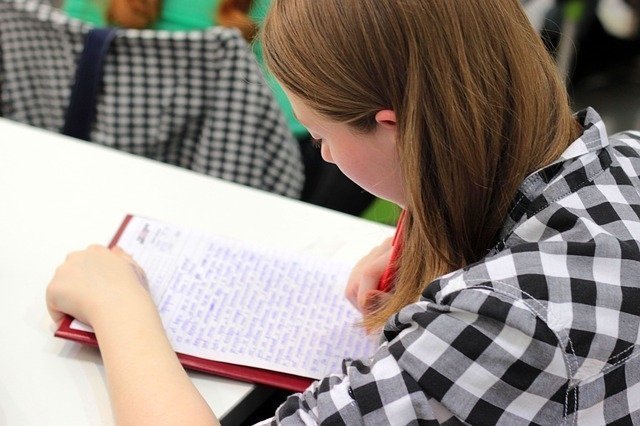 В Красноярске проходят бесплатные курсы по русскому языку