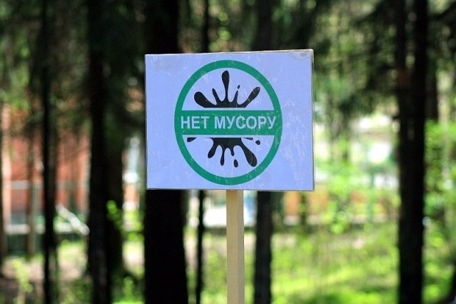 Тольяттинцев приглашают на уборку леса 