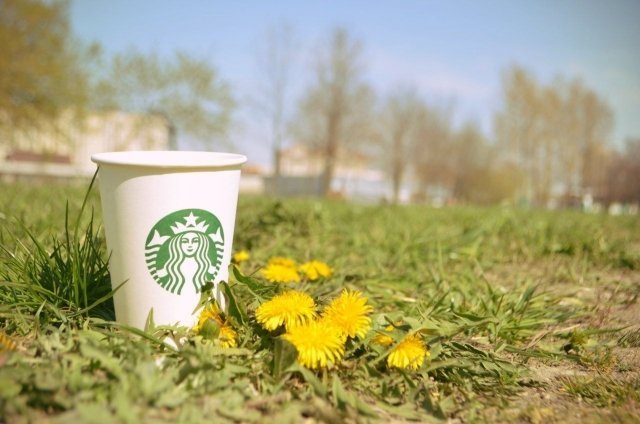 Starbucks призывает использовать многоразовые стаканы и прийти на субботник