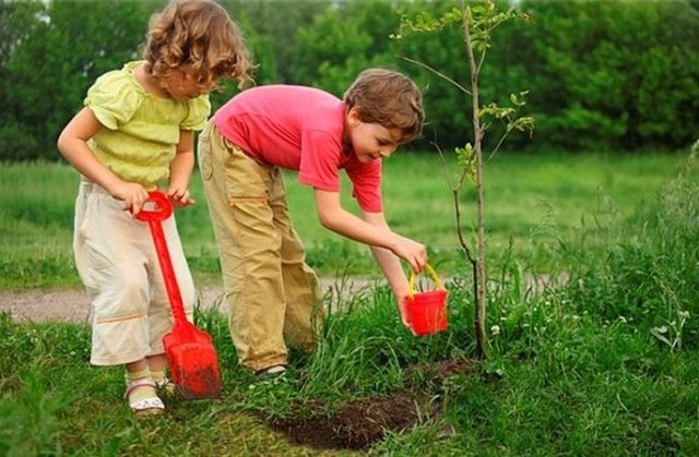 В Уфе все желающие смогут посадить деревья с именными табличками