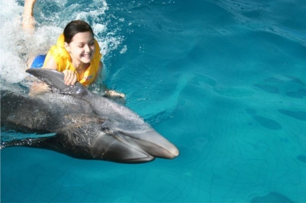 В Казани летом пройдут гастроли челнинского дельфинария