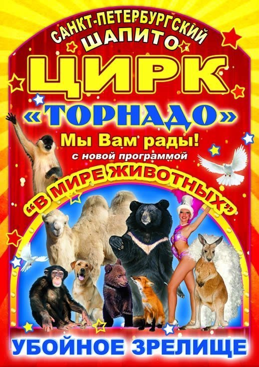 Гастроли цирка