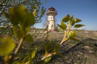 С 1 июля в Омске начнет работу еще один мини-зоопарк