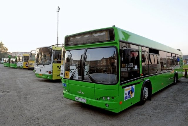 Тюменские автобусы на месяц превратятся в экскурсионные