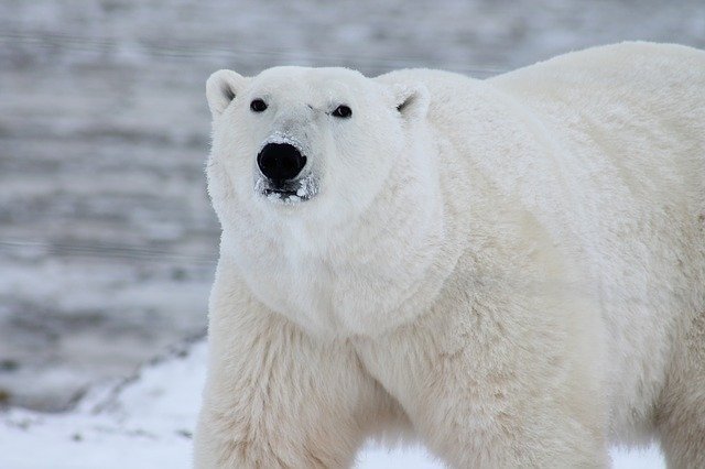 Власти Красноярского края намерены активно развивать арктический туризм