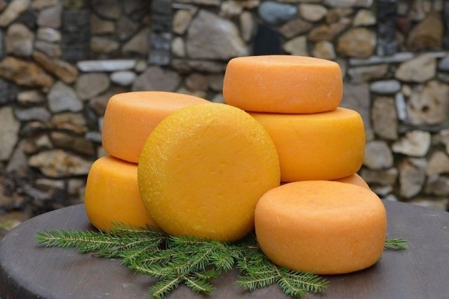 Курганцев научат варить итальянский сыр качотта