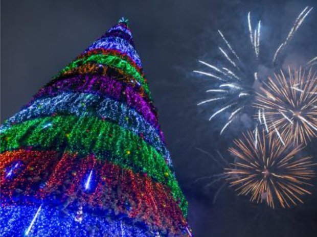 Центральная городская елка на Площади 1000-летия зажжет свои огни 30 декабря