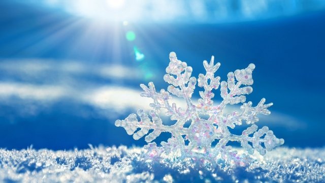 Творческие тюменцы нарисуют зимнюю сказку в новогодние каникулы