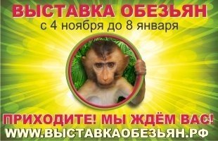 Контактная выставка обезьян