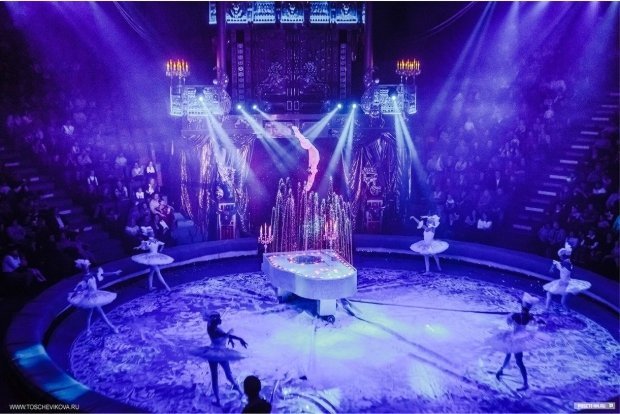 28 января в Казани стартуют гастроли шоу Гии Эрадзе «Королевский цирк»