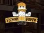 Рыжий Рорри