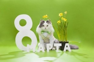 18 самых привлекательных событий этой недели в Тольятти