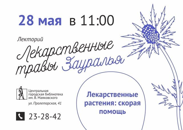 Лекторий «Лекарственные травы Зауралья»