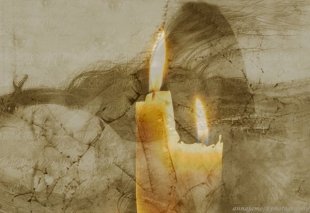 Про желание и нежелание, то есть про секс: интерактив с Элеонорой Пармезан