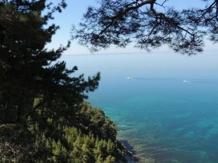 Где отдохнуть на Черном море?