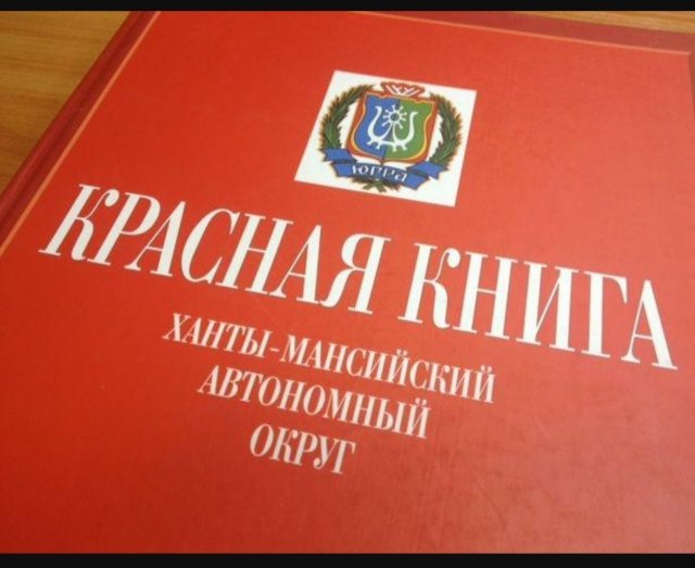 Выставка "Любопытное соседство"
