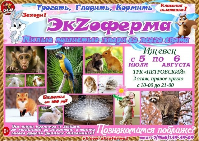 ферма, животные, выставка, ижевск