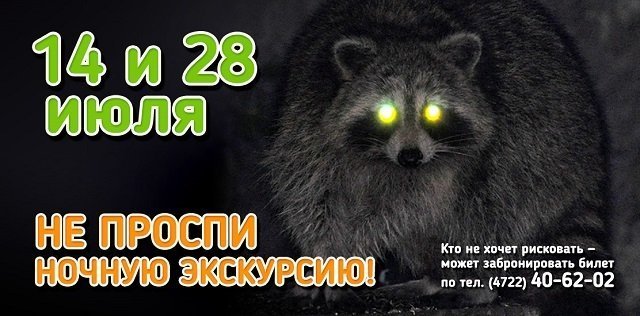 Ночная экскурсия в зоопарке