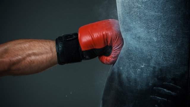 Тюмень отпразднует День бокса масштабной тренировкой