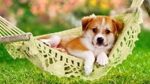 Куда сходить в Сургуте на выходных?