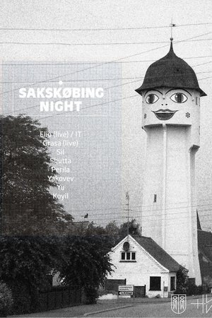 Sakskøbing Night