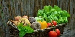 Новости: 2 августа 2017 года в Ижевске пройдет праздник урожая «Виль»