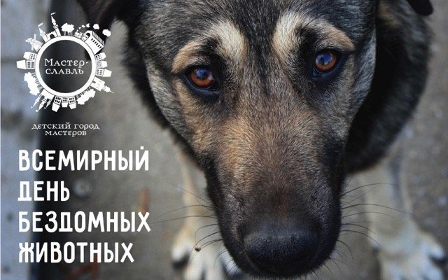 Человек собаке друг!