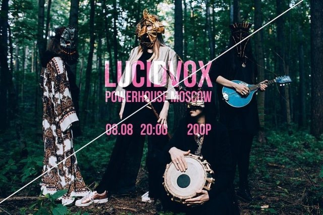 Lucidvox | Live