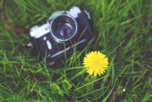 В Загородном парке в эти выходные пройдет «Photocon 2017»