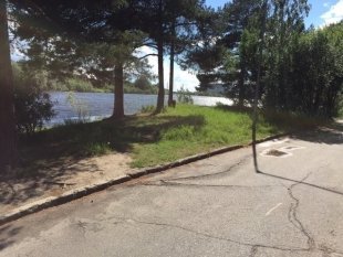 Парки и леса Сургута обработают от клещей