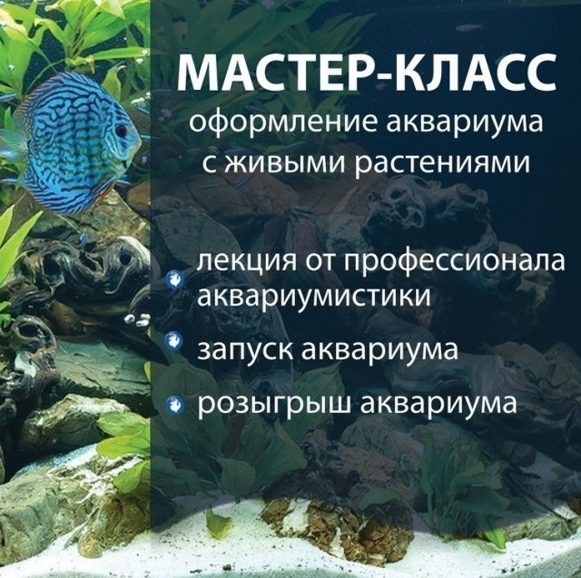 аквариум, рыбы, ижевск, мастер