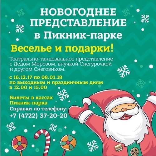 Новогоднее представление в Пикник-парке