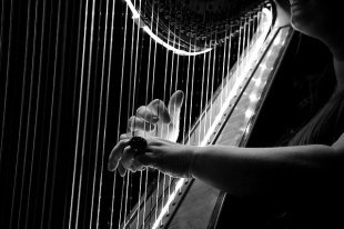Услышать звуки Кельтской арфы и скрипки в сопровождении органа можно будет в театре "Шардам"