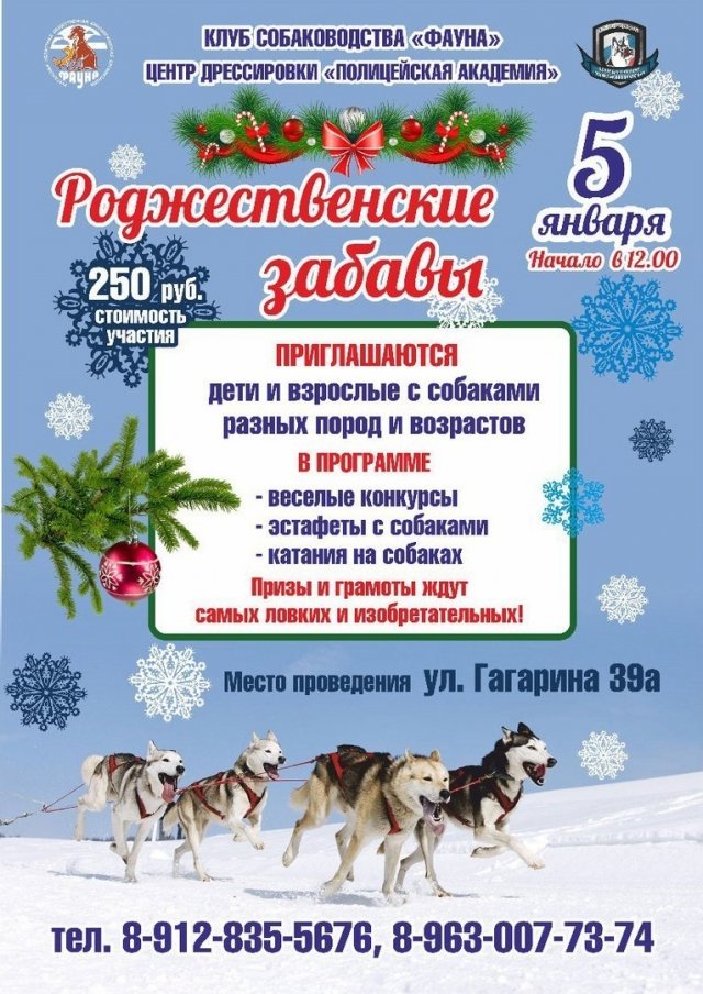 Рождественские забавы в клубе собаководов "Фауна"
