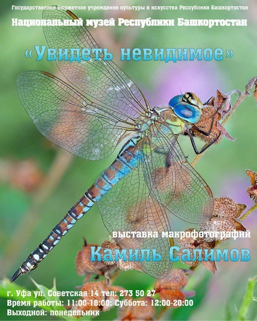 Увидеть невидимое, выставка
