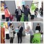 Встречайте Год 2018 в Сочи и в Кисловодске!
