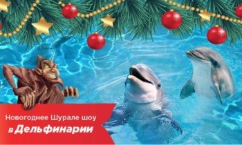 Дельфины - шурале