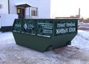 В Челнах появится пункт приема живых елок