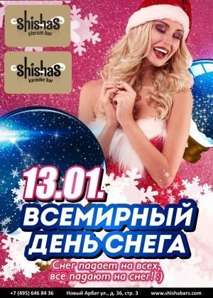 ВСЕМИРНЫЙ ДЕНЬ СНЕГА
