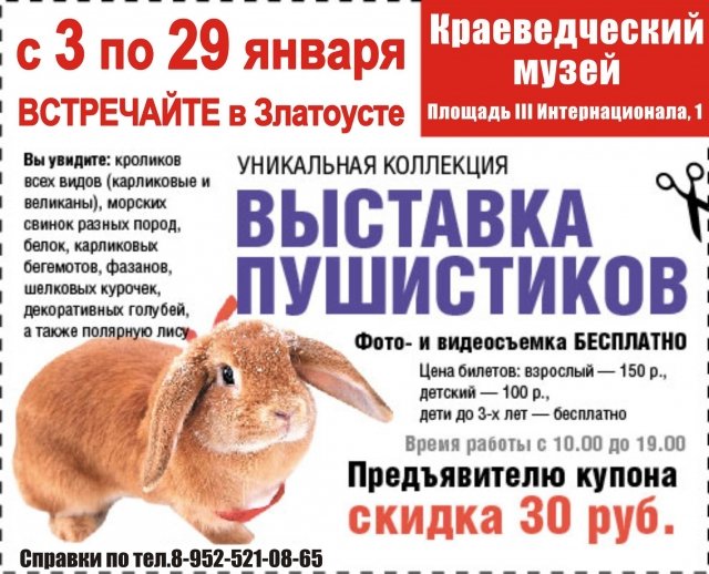 Выставка пушистиков