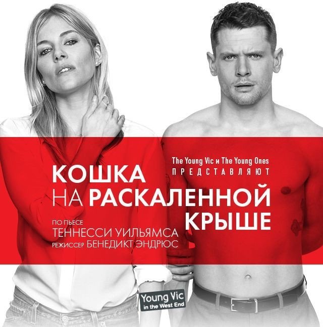Кошка на раскалённой крыше