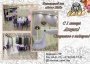 С 1 января Акция! Спиртное в подарок! В банкетном зале "Ivory Hall"