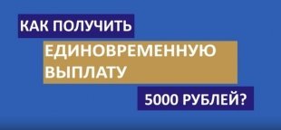 Подача заявления на единовременную выплату в Югре: ВИДЕО-ИНСТРУКЦИЯ