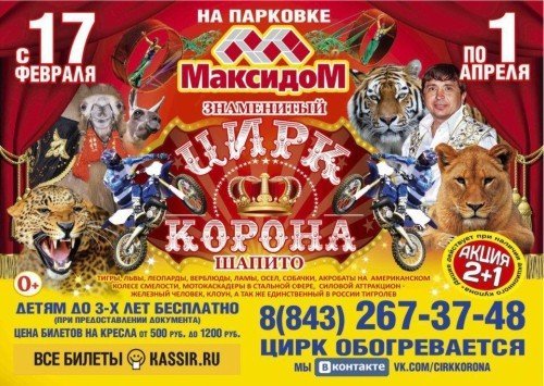 львы цирк шопито верблюды