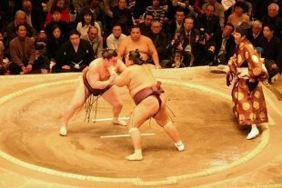 В Краснодаре прошли отборочные соревнования на чемпионат России по сумо