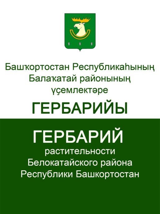 Гербарий растительности Белокатайского района РБ, выставка