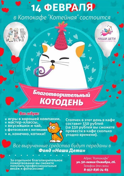 Благотворительный котодень, детская программа